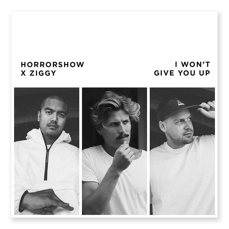I Won't Give You Up