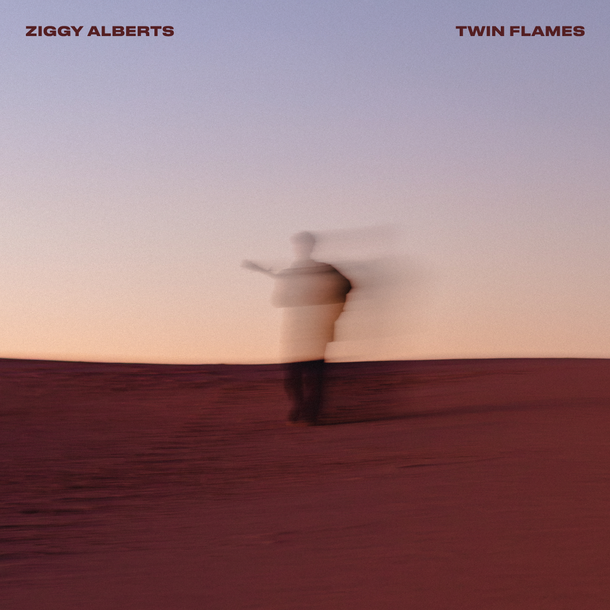 ZIGGY ALBERTS LETS THE HEART AND IMAGINATION ROAM ON SEVENTH ALBUM TWIN FLAMES