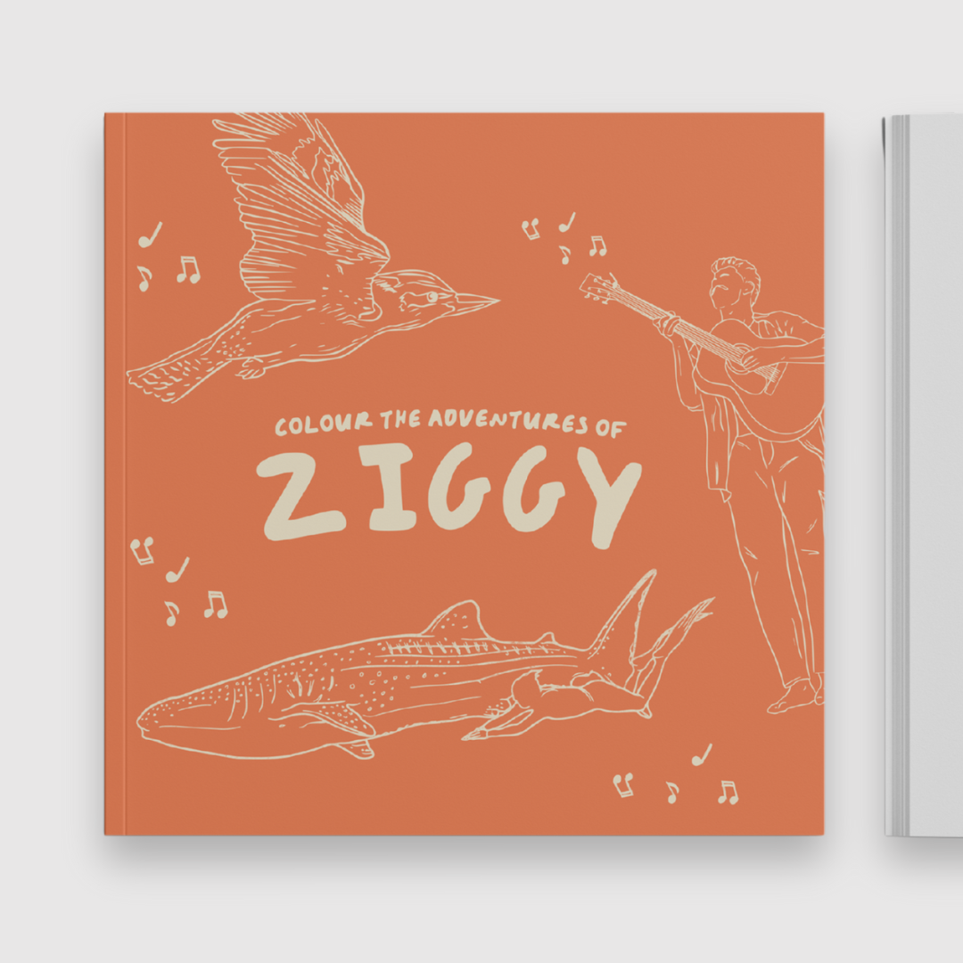 Colour the Adventures of Ziggy