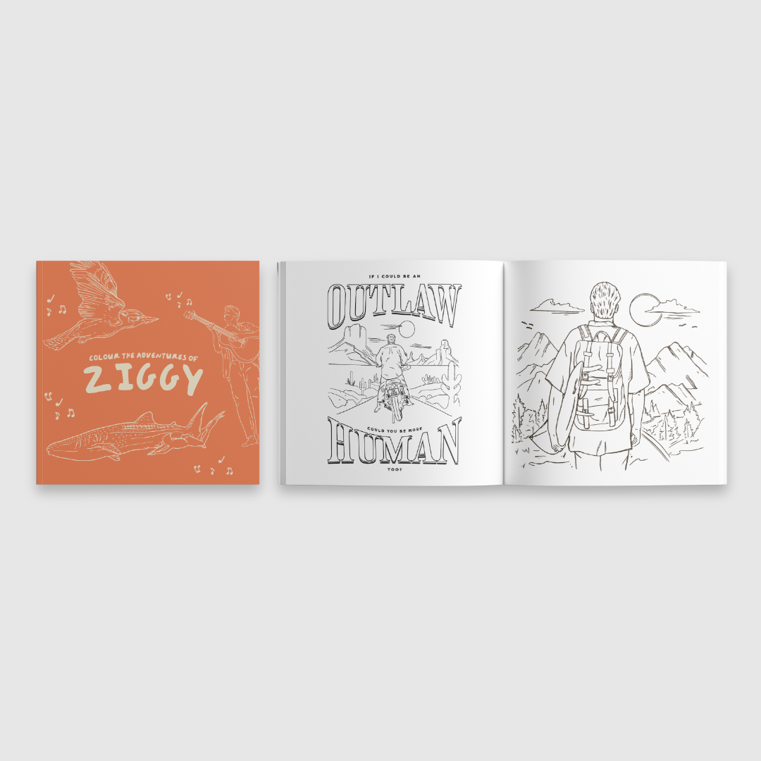 Colour the Adventures of Ziggy