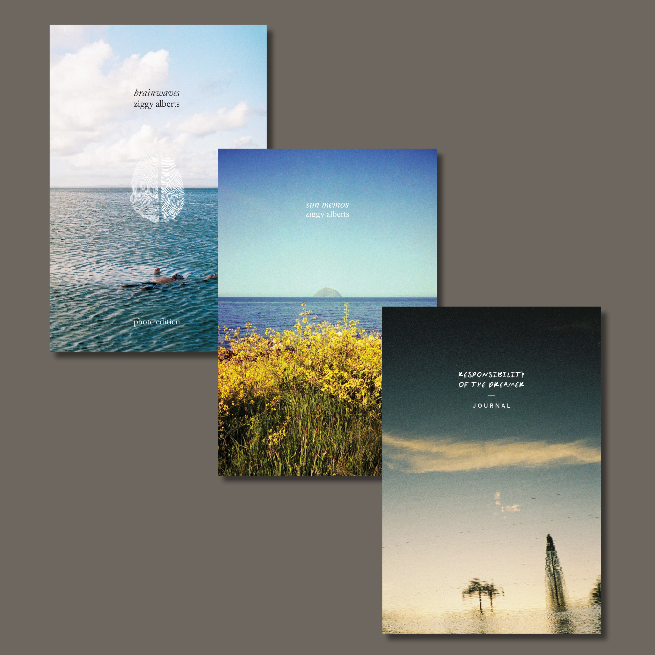 ZIGGY ALBERTS POETRY BOOK & JOURNAL BUNDLE