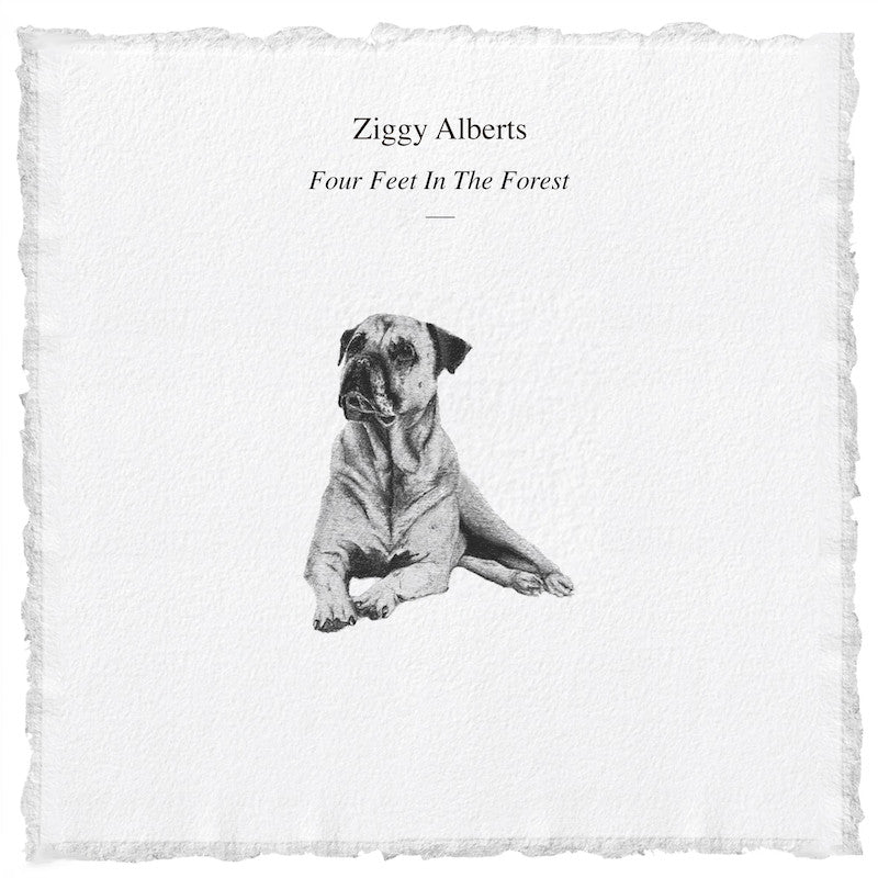 Four Feet In The Forest CD
